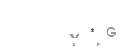 NETHR91 MS Logo